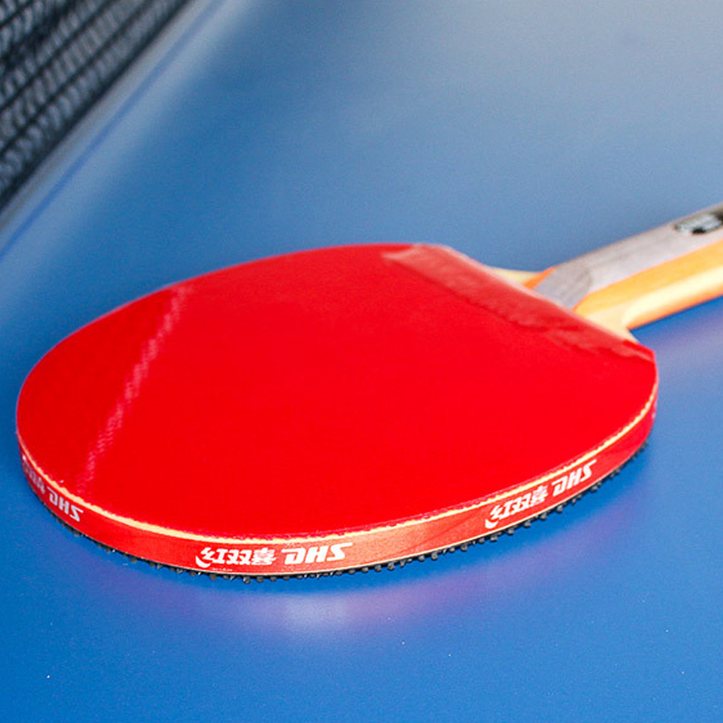 DHS Self-adhesive Table Tennis - огляд і ціна Table Tennis Net Set